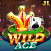 Wild Ace at Okay Bet